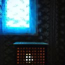 제주나랑하 이미지