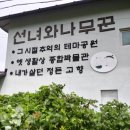 얼라서울 이미지