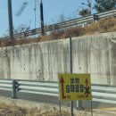 대구 근교 승마체험, 포항승마클럽 첫방문, 대구 승마입문