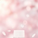 마주봄안경원 | 하드렌즈가 맞을까요, 드림렌즈가 맞을까요? 두 렌즈의 진짜 차이와 프리미엄 더엑스(The X) 렌즈 이야기