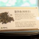 전통란주라면 이미지