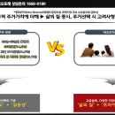 파티오7 이미지