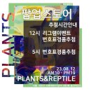 베니마켓