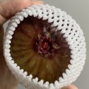 영오농장 이미지