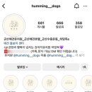 허밍독 이미지