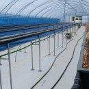 팔금농장 이미지