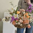 유토피스트 이미지
