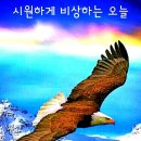 엔케이남강 이미지