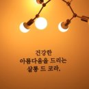살롱드코라 네이버블로그