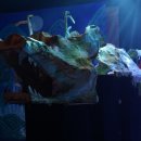 포스댄스 공연 이미지