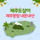 백억커피제주