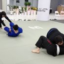 동일체육관 이미지