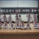 금빛 호랑이 태권도 이미지