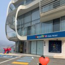 다이노워시 | 급 떠난 가평여행 고고다이노 키즈호텔 701호 ,키즈카페 최근 후기