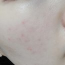 요수정옆 이미지