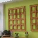 올리브 펫 이미지