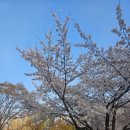 공동기획 뮤지컬「스페셜5」 | 도파민의 힘이 넘쳐 흘러 절여져버린 2주
