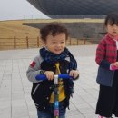 흥부부쇼핑센터 네이버블로그