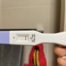 [초보엄마 드루와] 임테기 두줄 확인, 그 다음은?