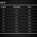 스카이손세차 이미지