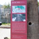 솔대 | 수원 황구지천 벚꽃 명소_오목천교부터 솔대공원까지 5km 벚꽃길