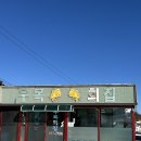 포항횟집 | 포항 현지인 물회 맛집 우목횟집 후기 오션뷰 횟집