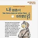 천성산가는길 이미지