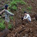 윤자농장 이미지