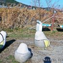 다을새길 이미지