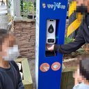 꿀돼지하우스민박 이미지