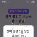 셀챔 백장미 이미지