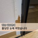 H0486 | 눈에 거슬리던 몰딩 까짐, 부분 교체 가능한지 꼭 보세요