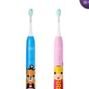 아미덴탈 이미지