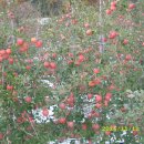 화천3리 경로당 이미지