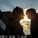 금잔디 - 어쩔사 (작품 영상 자막 가사) 이미지