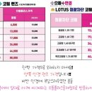 홍제 안경 콘택트 이미지