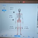 아동건강 관리센터 | [무브먼트운동건강관리센터] 서초PT 후기 | 걷기자세교정부터 체형분석까지