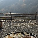 서당골캠핑장 | 밀양 서당골캠핑장 가을 캠핑 후기 / 조용한 자연 캠핑장 추천