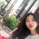 서프코드