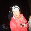 그리올라 이미지