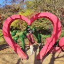 (주)만당 | 영광 가을 불갑사(전남 영광군 불갑면 불갑사로 450, 불갑면 모악리 8)