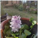 제주이야기 민박 이미지