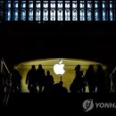 애플 - 포항시 북구 장량로189번길 5-15 | 애플