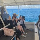 한바다낚시할인마트 앞 | #2. 필리핀 세부 막탄섬 호핑투어! (한바다호핑 선셋투어 후기)