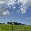 종금주유소 이미지