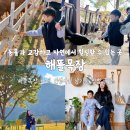 형제목장 | 교감하고 자연에서 힐링할 수 있는 하동 해뜰목장(체험 후기, 해뜰목장 카페, 인생 사진 남기는 방법 꿀팁)