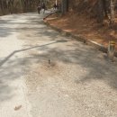 봉암어린이집 이미지