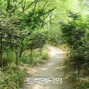 [출발-서울] 서대문 이음길-인왕산.북한산(6/29 토요일) 이미지