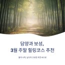 새보성식당 | 담양과 보성, 3월 주말 힐링코스 추천