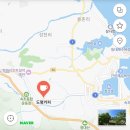속초/ 데이지꽃 카페] 아늑한 분위기와 데이지꽃밭이 매력적인 속초 카페, 도평커피 (6.14일 데이지 상황)